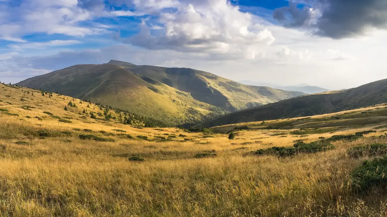Трав'янисті полонини хребта Свидовець із округлими вершинами