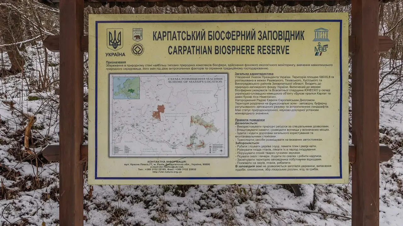 Гірський краєвид Карпатського біосферного заповідника з хребтами